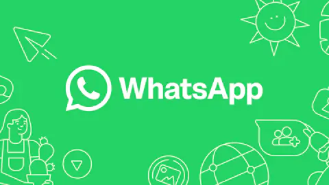 WhatsApp Messenger header
