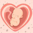 HiMommy: embarazo & ovulación icon