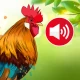 Som de animais:Papel de parede icon