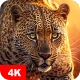 Papéis de parede com animais icon