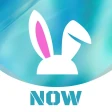 VoVoo Now - लाइव वीडियो चैट icon