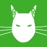 Katzentempel Cats & Friends