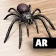 AR Spiders & Co: Scare friends icon