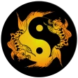 Acupuncture Assistant icon