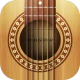 Real Guitar: العزف على الجيتار icon