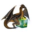 Magic DosBox icon