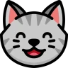 Meow VPN