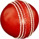 Cricket All-rounder | Practice icon