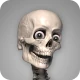 Skelly: Poseable Anatomy Model icon