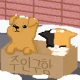 가족이되어주세요 - 강아지 고양이 키우기 icon