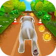 Pet Run - Puppy Dog Game icon