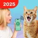 Traductor de Humano a Gato icon