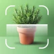 AI Plants - Plant Identifier icon