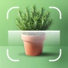 AI Plants - Plant Identifier