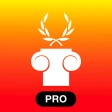 iLatinista (PRO) icon