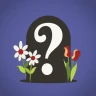 Find a Grave