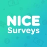 NiceSurveys - Paid Surveys