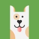 Max - ช่วยเตือนให้ใช้ยาตรงเวลา icon
