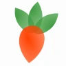 Gartenplaner fürs Gemüsebeet