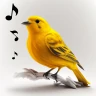 Sonneries Chants D'oiseaux