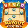 Bingo Quest: Earn Real Money