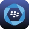 Services BlackBerry Hub+
