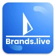 Brands.live - Festival Poster icon