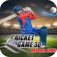 Cricket Game 3D: Bat Ball Game icon