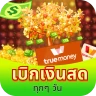 Cash Tree: รับรายได้มหาศาล