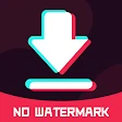 TT Video Downloader icon