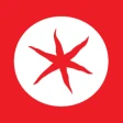Tomatino icon