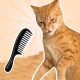 Brush The Cat icon
