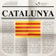 Diaris de Catalunya icon