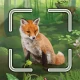 Mischwald™ Smart Counter icon