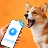 Tradutor De Cachorro Divertido