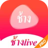 ช้างlive.PRO