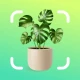 AI Plant Identifier & Care icon