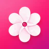 Gallery - Photo, Video & Home