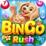 Bingo Rush - Jogos de Bingo