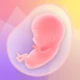 الحمل المقتفي الوهج تغذي icon
