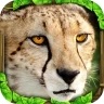 Cheetah Simulator