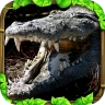 Wildlife Simulator: Crocodile