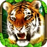 Tiger Simulator