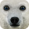 Ultimate Arctic Simulator
