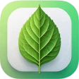 گل بین | شناسایی گیاه با عکس icon