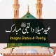 Eid Milad un Nabi Status 2024 icon