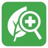 Doença de planta