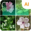 Identificador de plantas icon