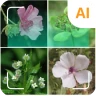 Identificador de plantas
