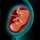 Astha Pregnancy icon